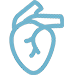 &iacute;cone cardiovascular