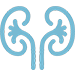 &iacute;cone de imagiologia geral